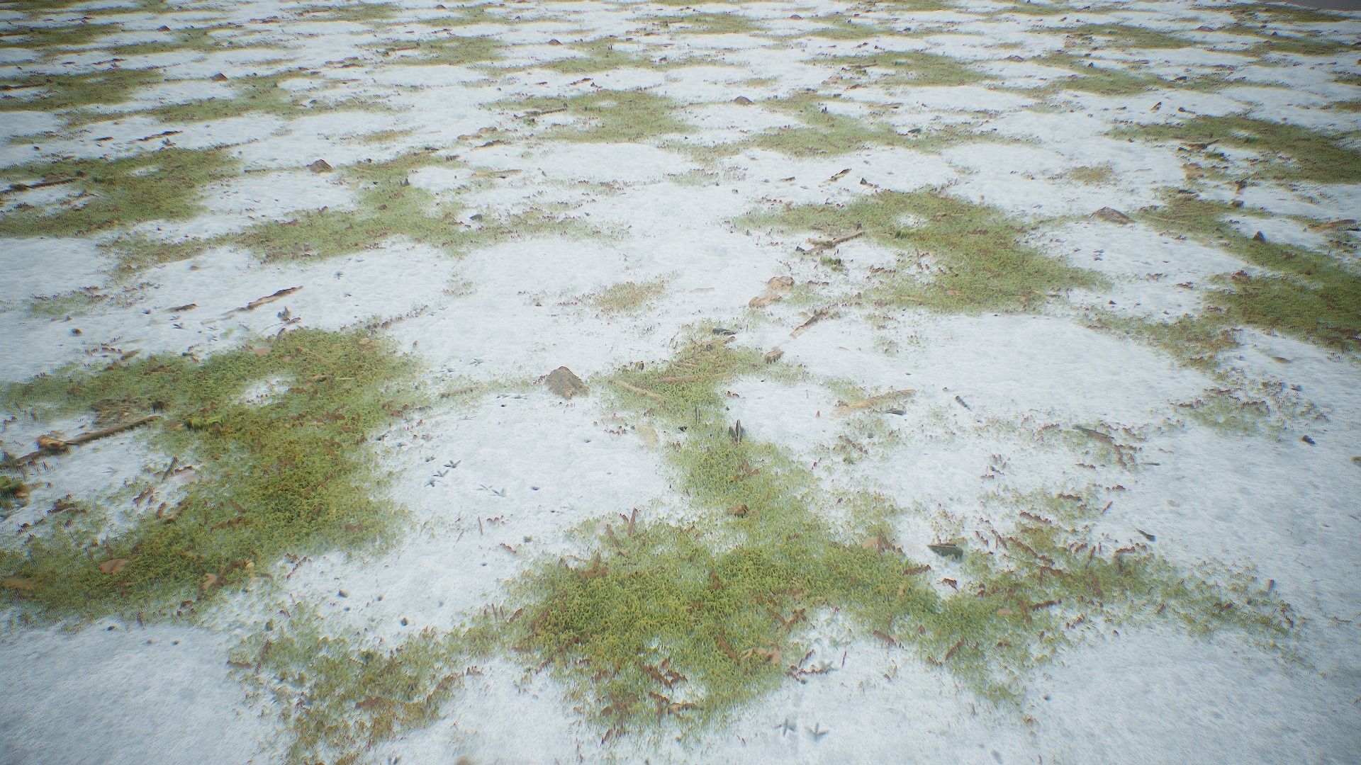 Ultimate Texture Library - Grasslands Texture_12