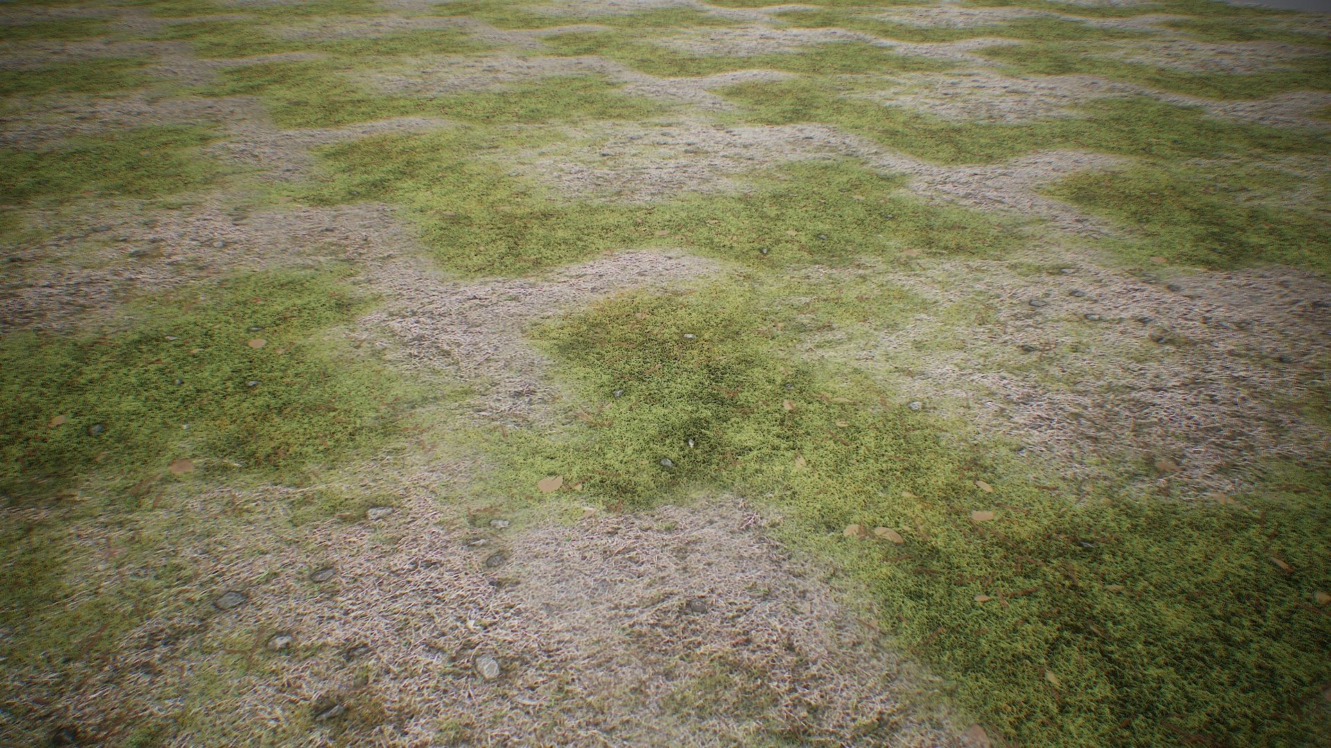 Ultimate Texture Library - Grasslands Texture_8