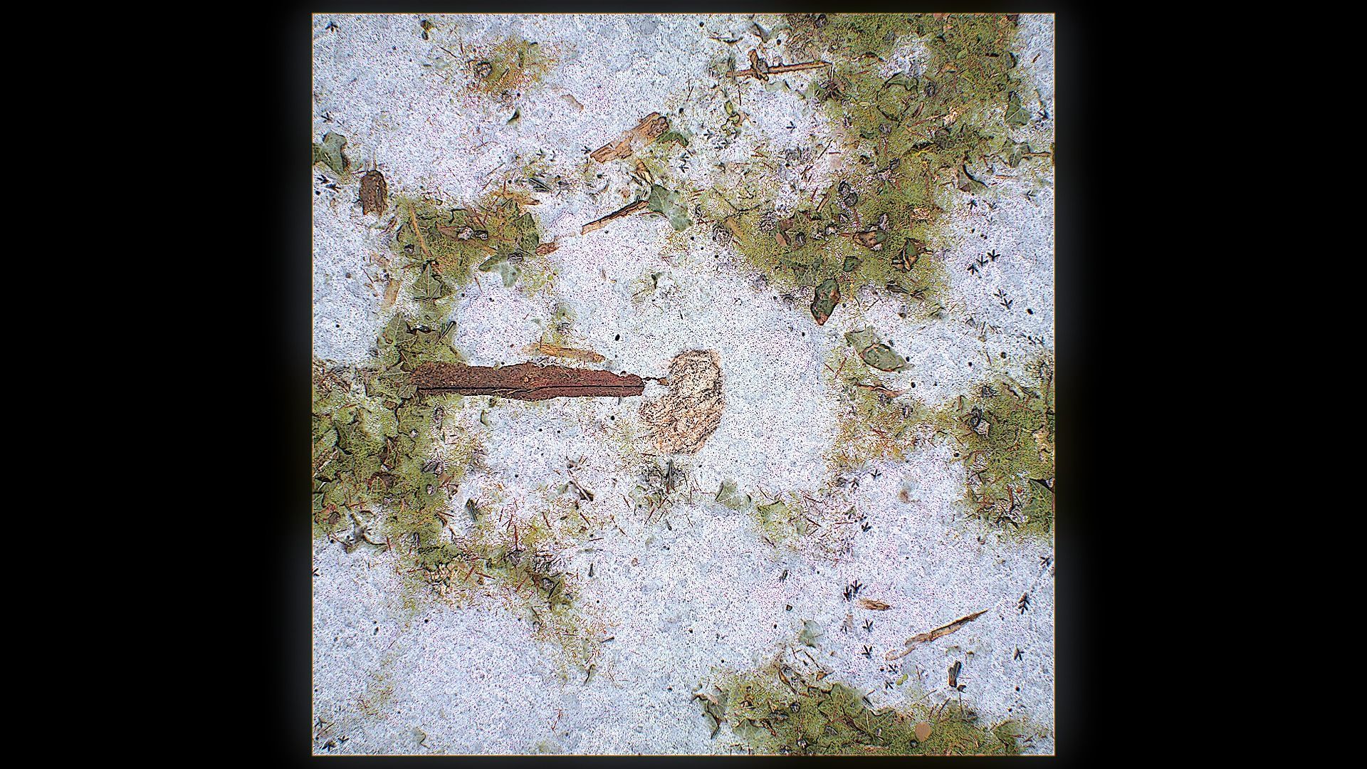 Ultimate Texture Library - Grasslands Texture_17