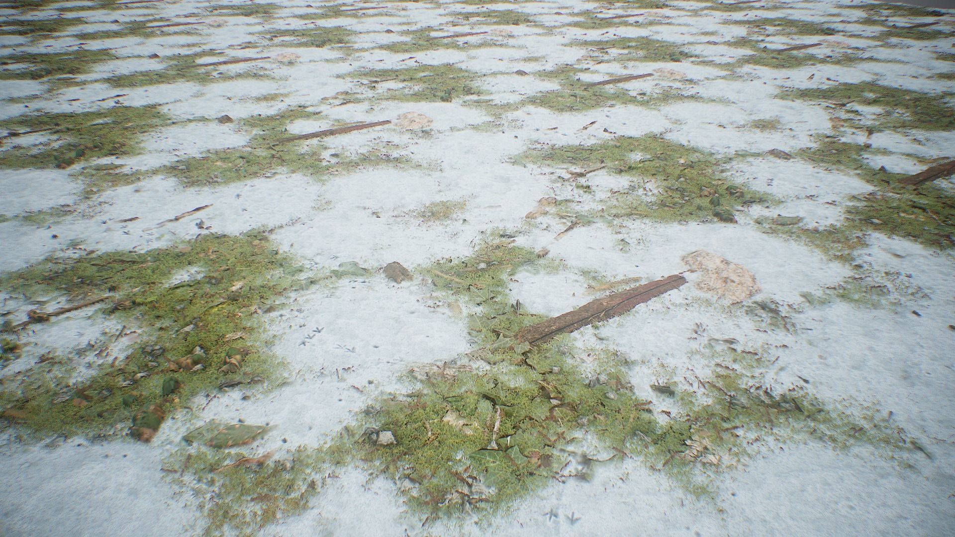 Ultimate Texture Library - Grasslands Texture_11