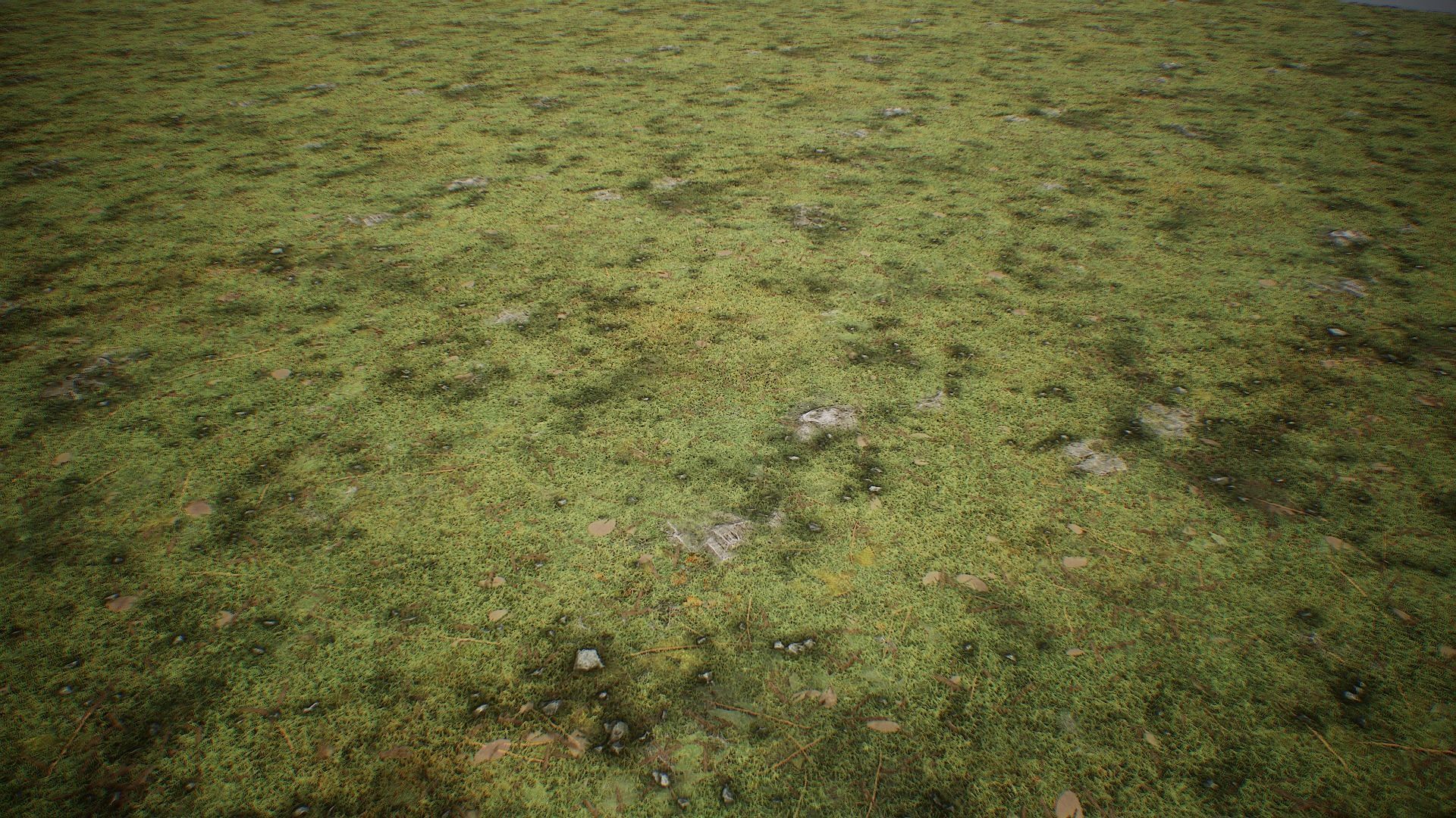 Ultimate Texture Library - Grasslands Texture_9