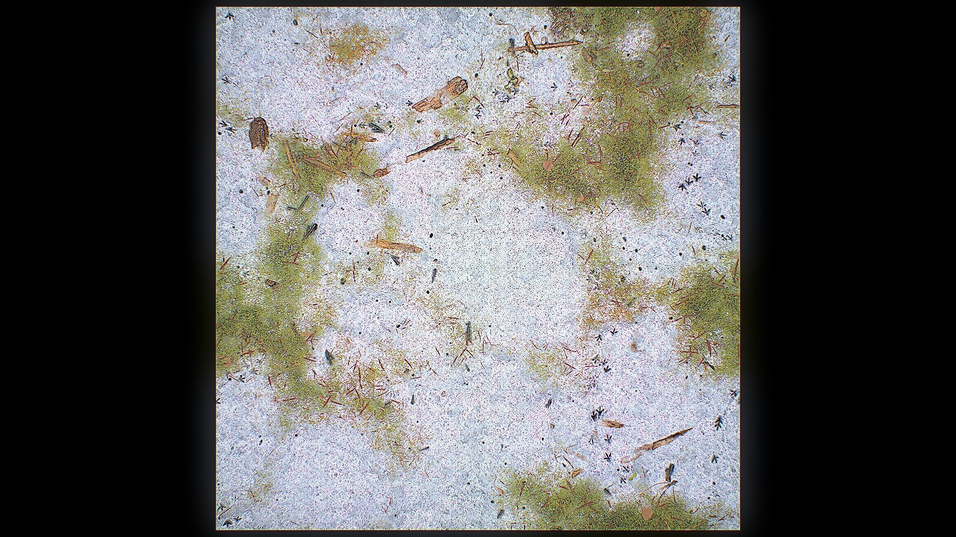 Ultimate Texture Library - Grasslands Texture_18