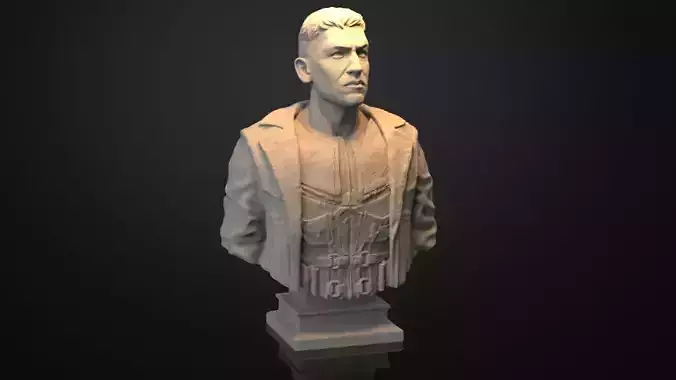 The Punisher bust
