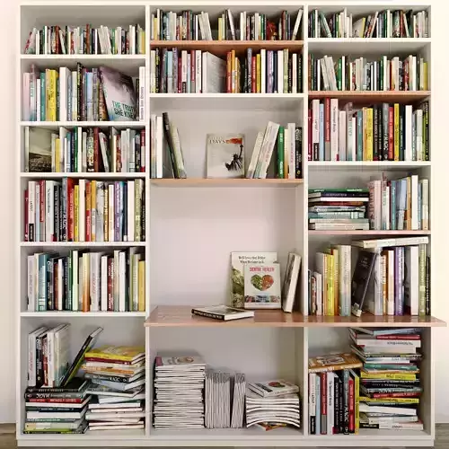 Cabinet with books 2 3D model