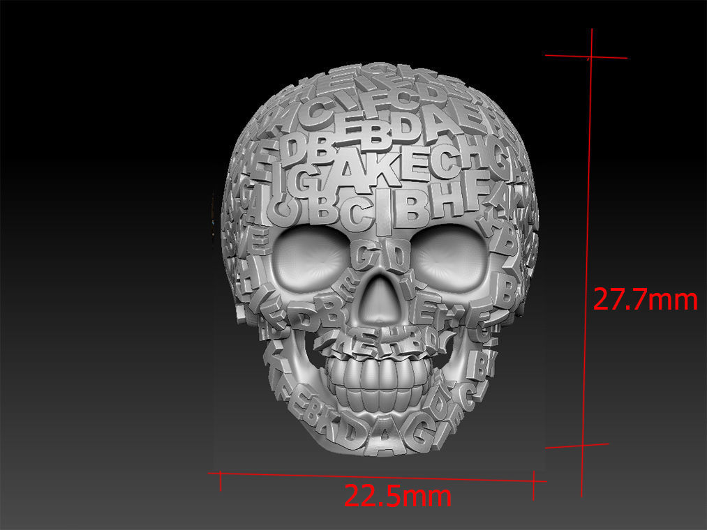 ring scull 3D print model_3