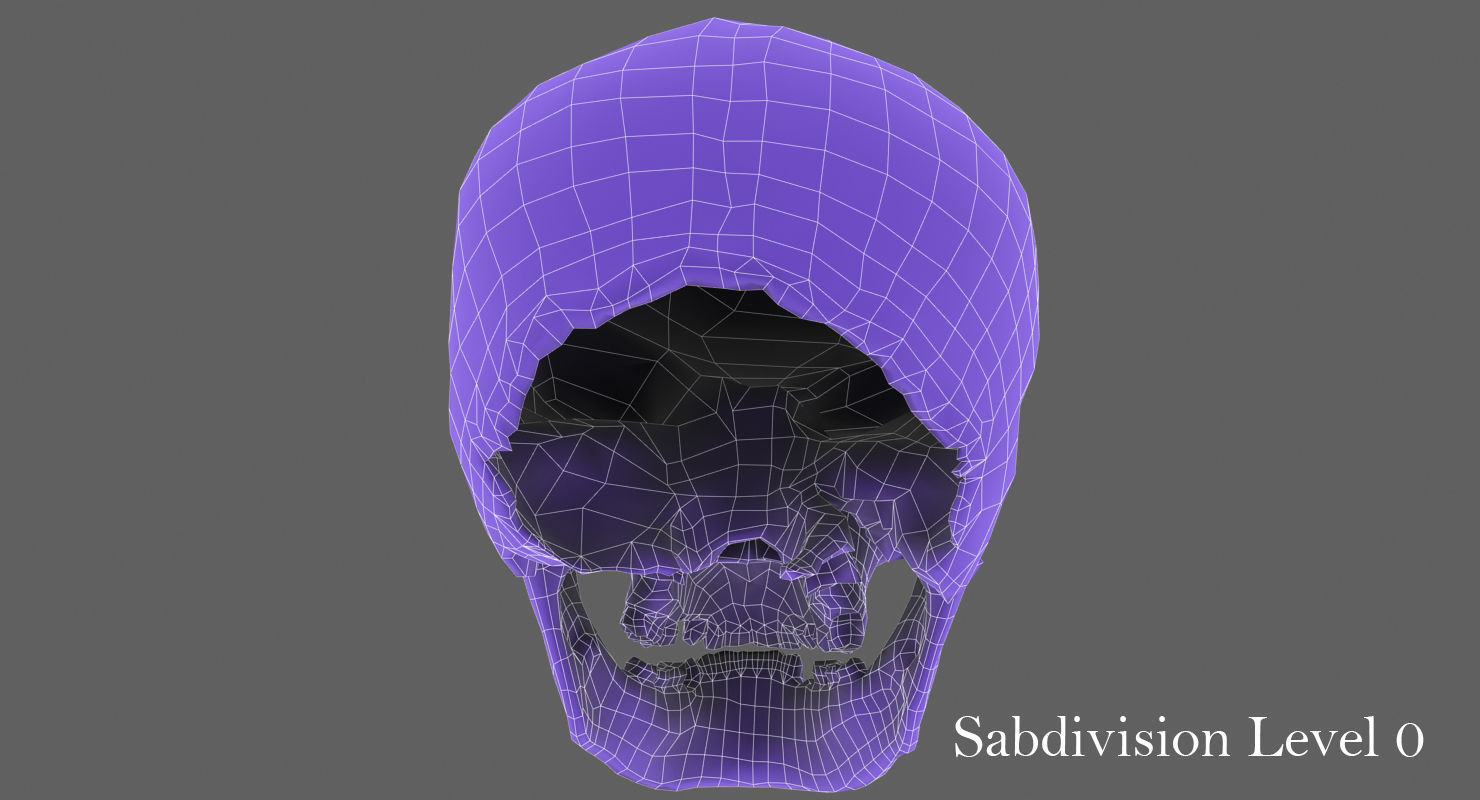 Real Human Skull Low-poly 3D model_41