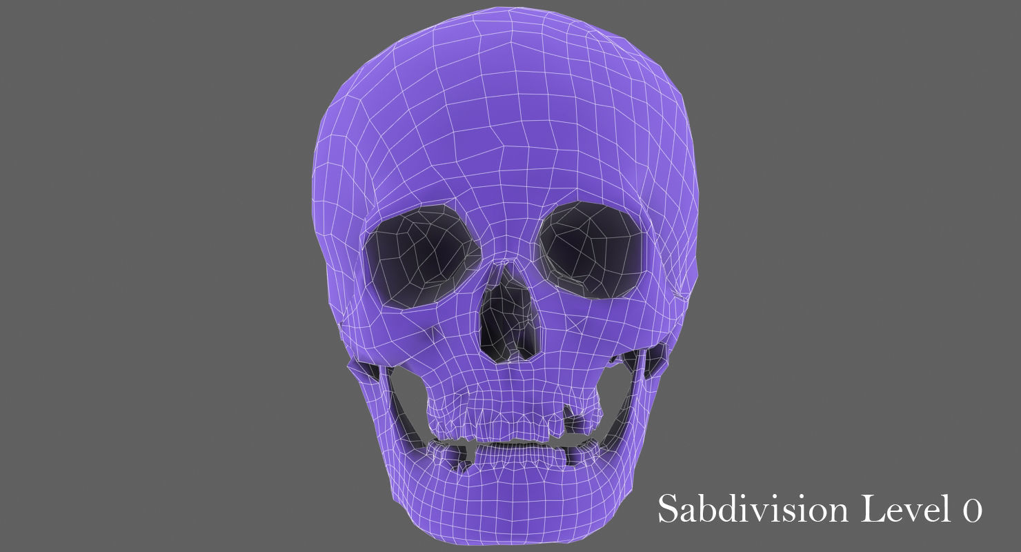Real Human Skull Low-poly 3D model_43
