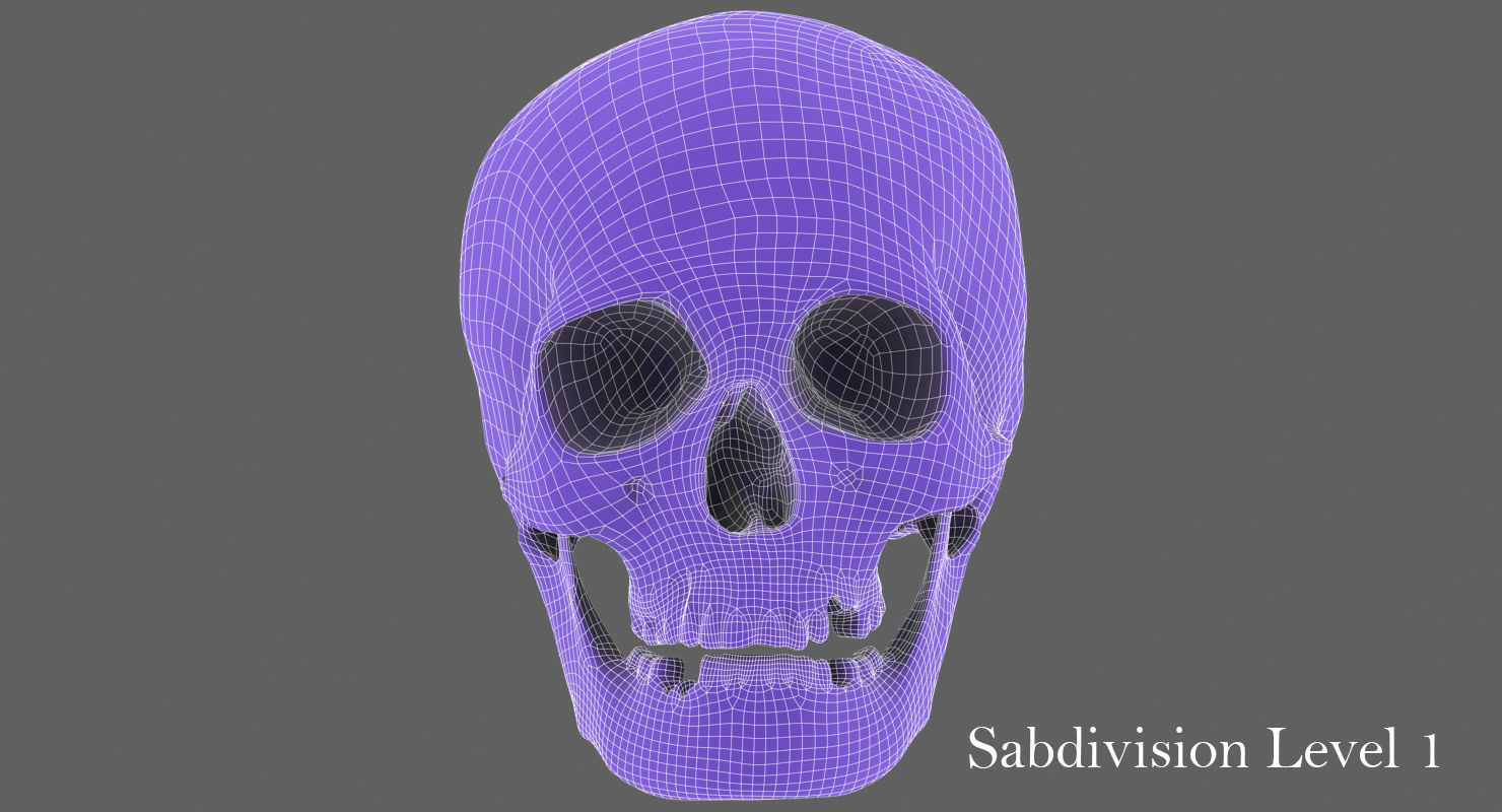Real Human Skull Low-poly 3D model_44
