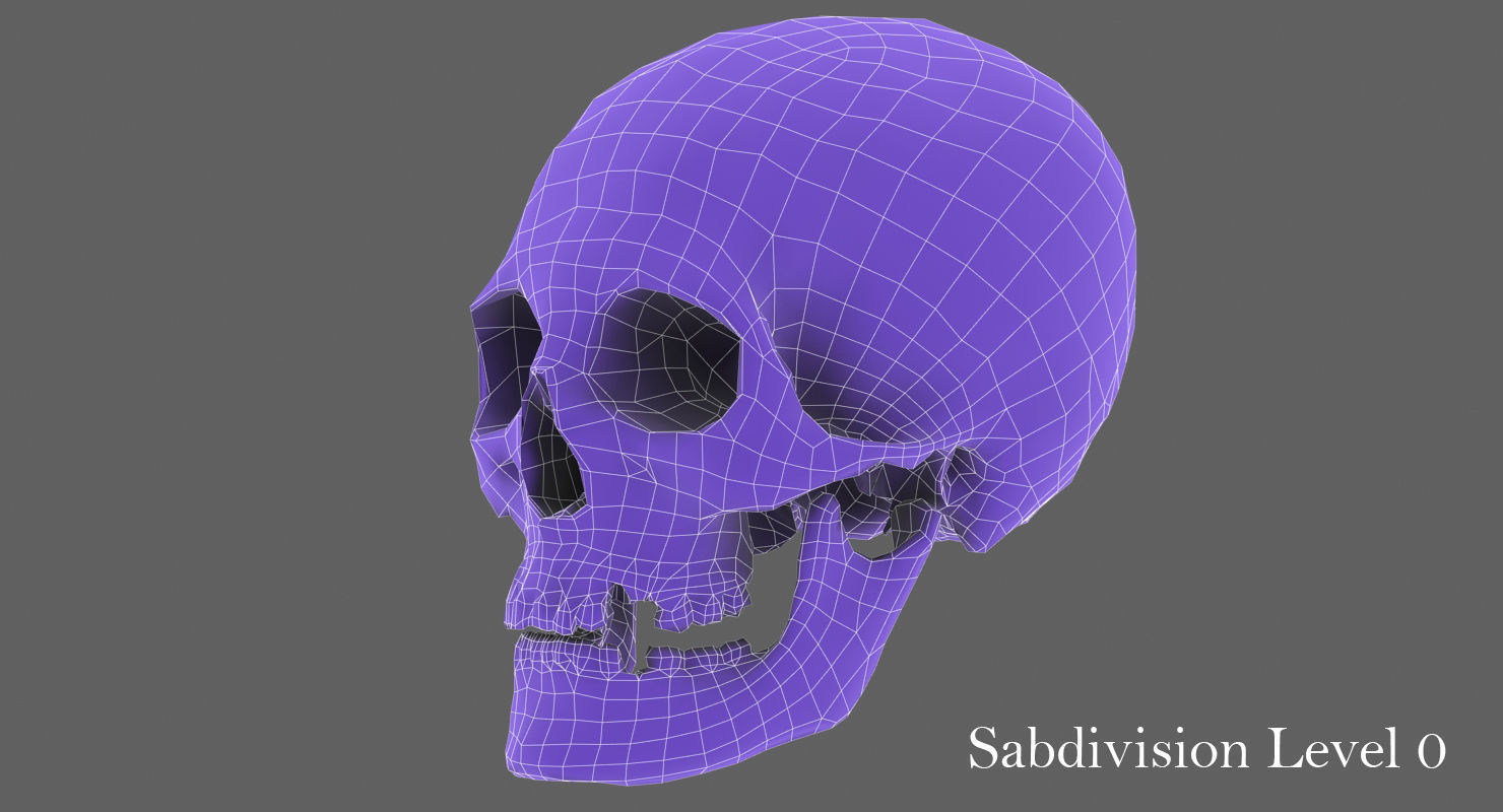 Real Human Skull Low-poly 3D model_37