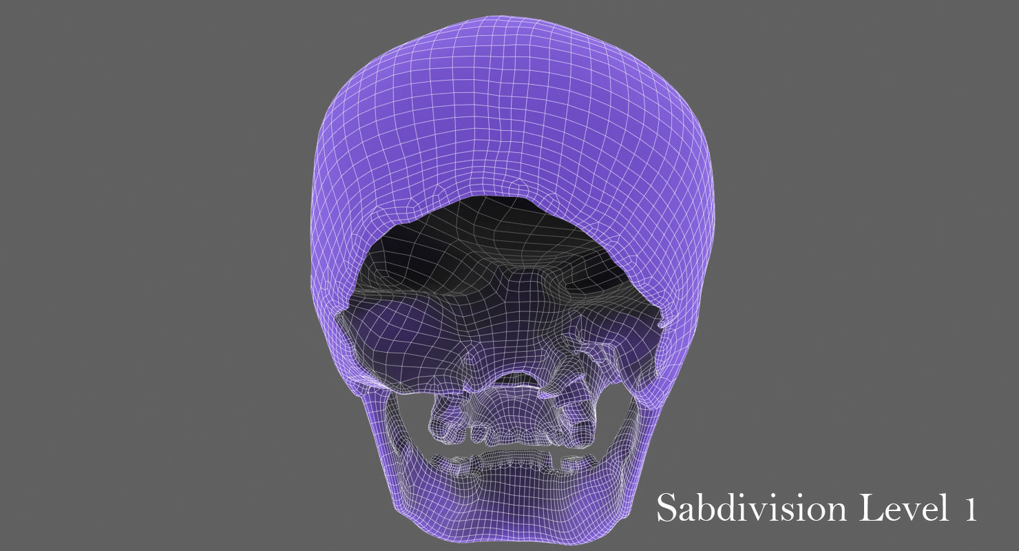 Real Human Skull Low-poly 3D model_42