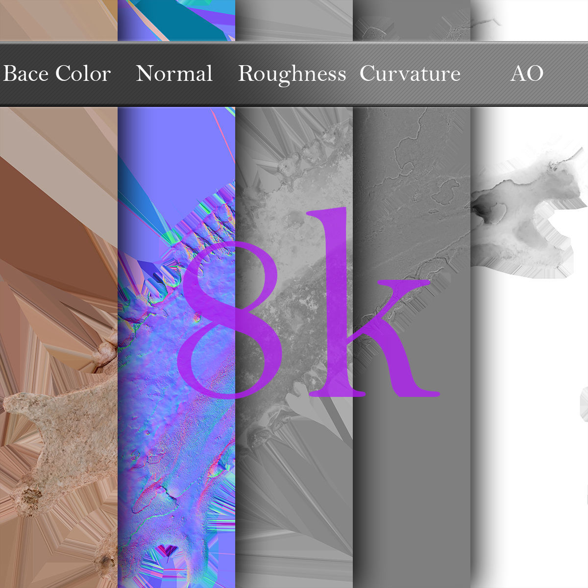 Real Human Skull Low-poly 3D model_31
