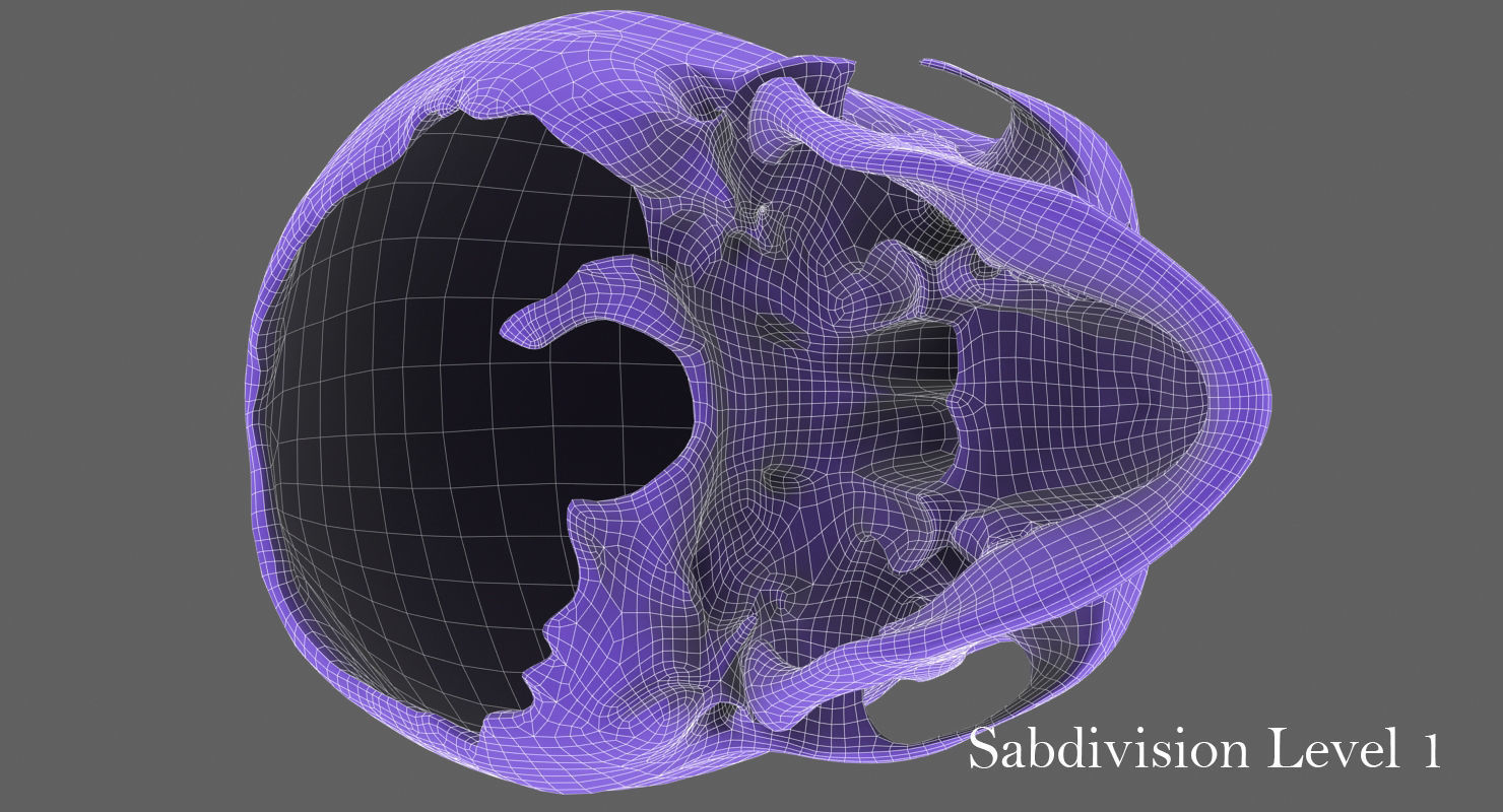Real Human Skull Low-poly 3D model_40