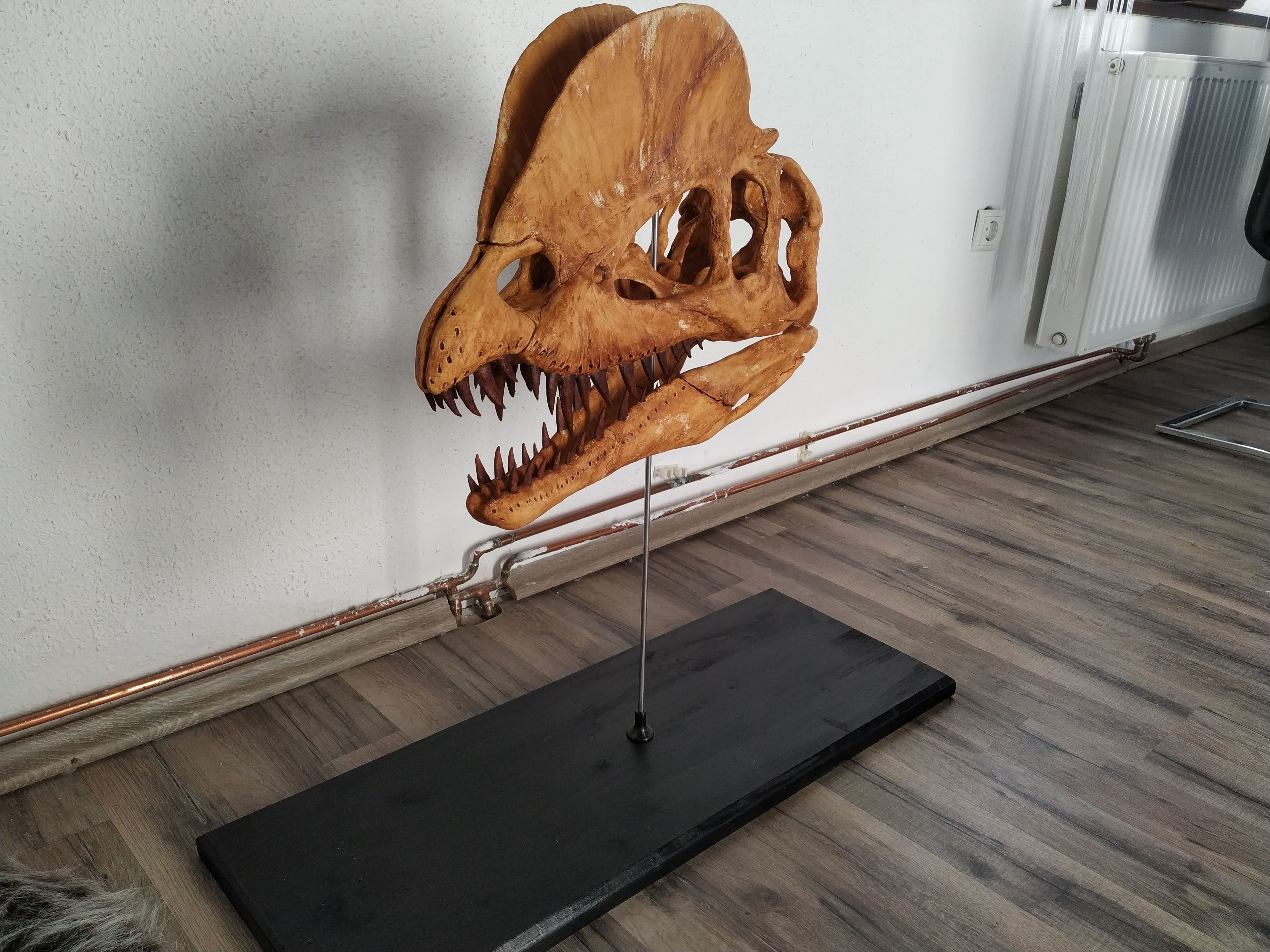 Dilophosaurus Skull 3D print model_1