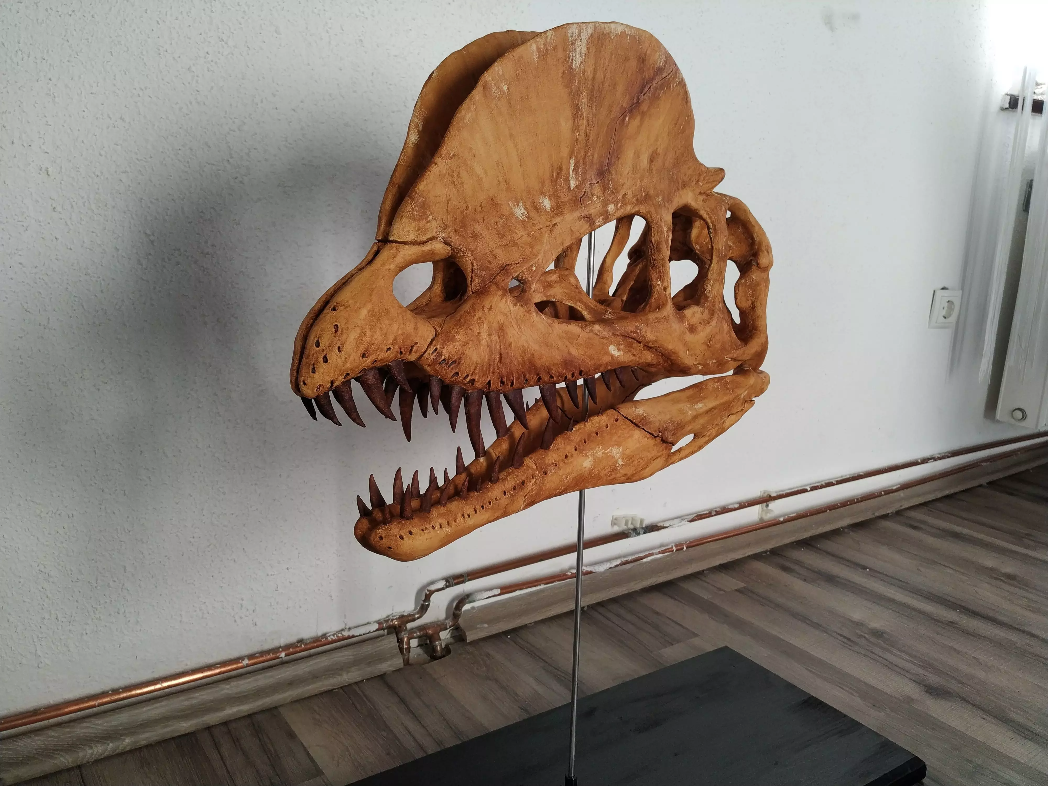 Dilophosaurus Skull 3D print model_0