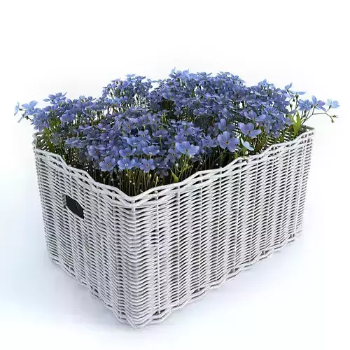 Flowers in a Basket