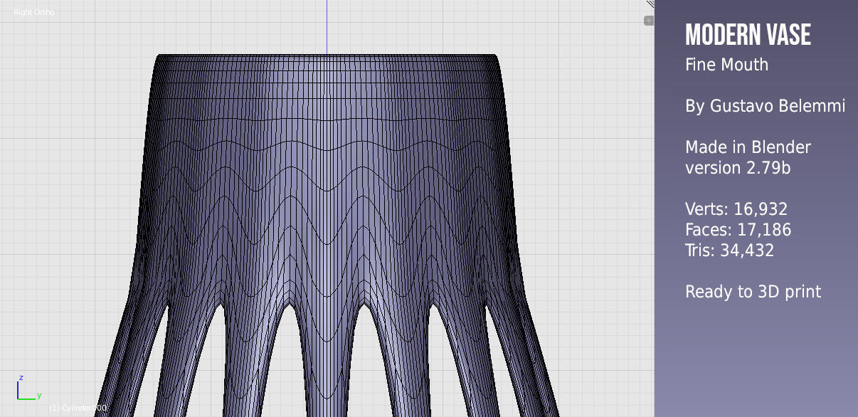 Modern Vase Fine Mouth 3D print model_7