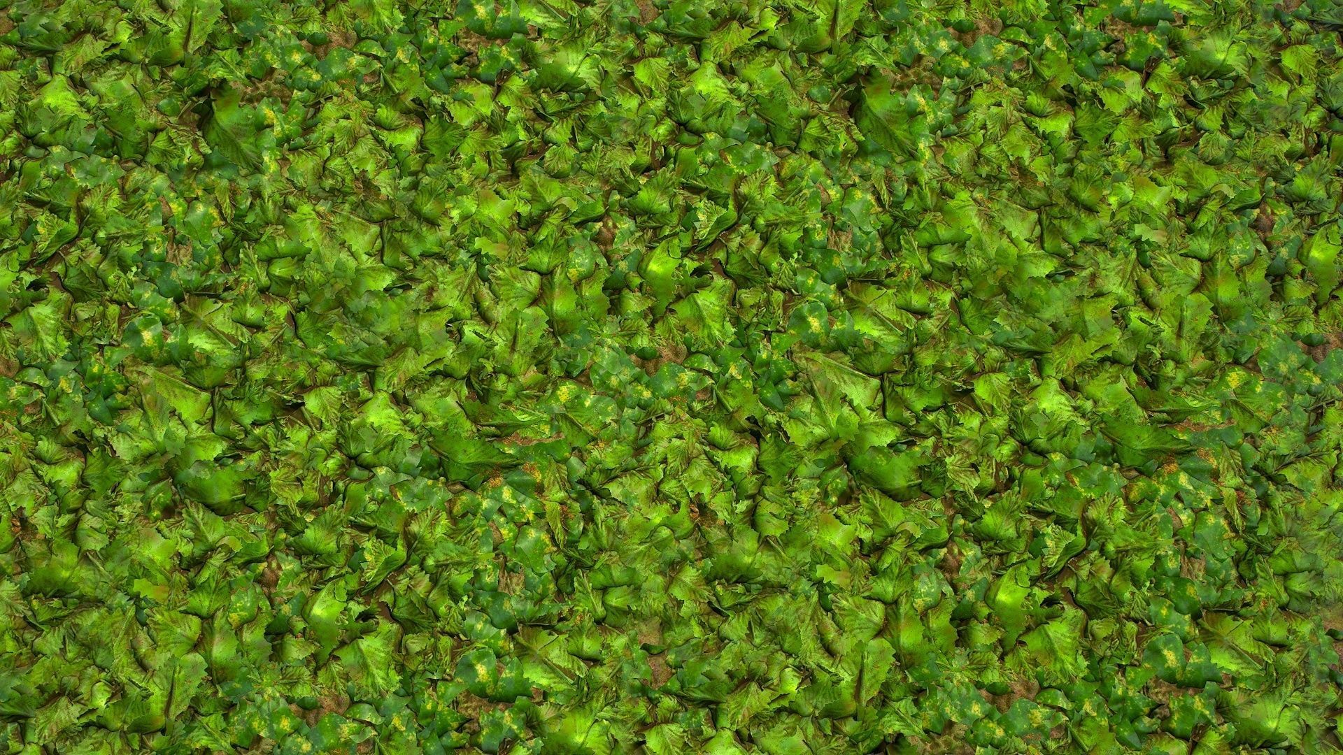 PBR seamless jungle ground textures with leaves cover Texture_3