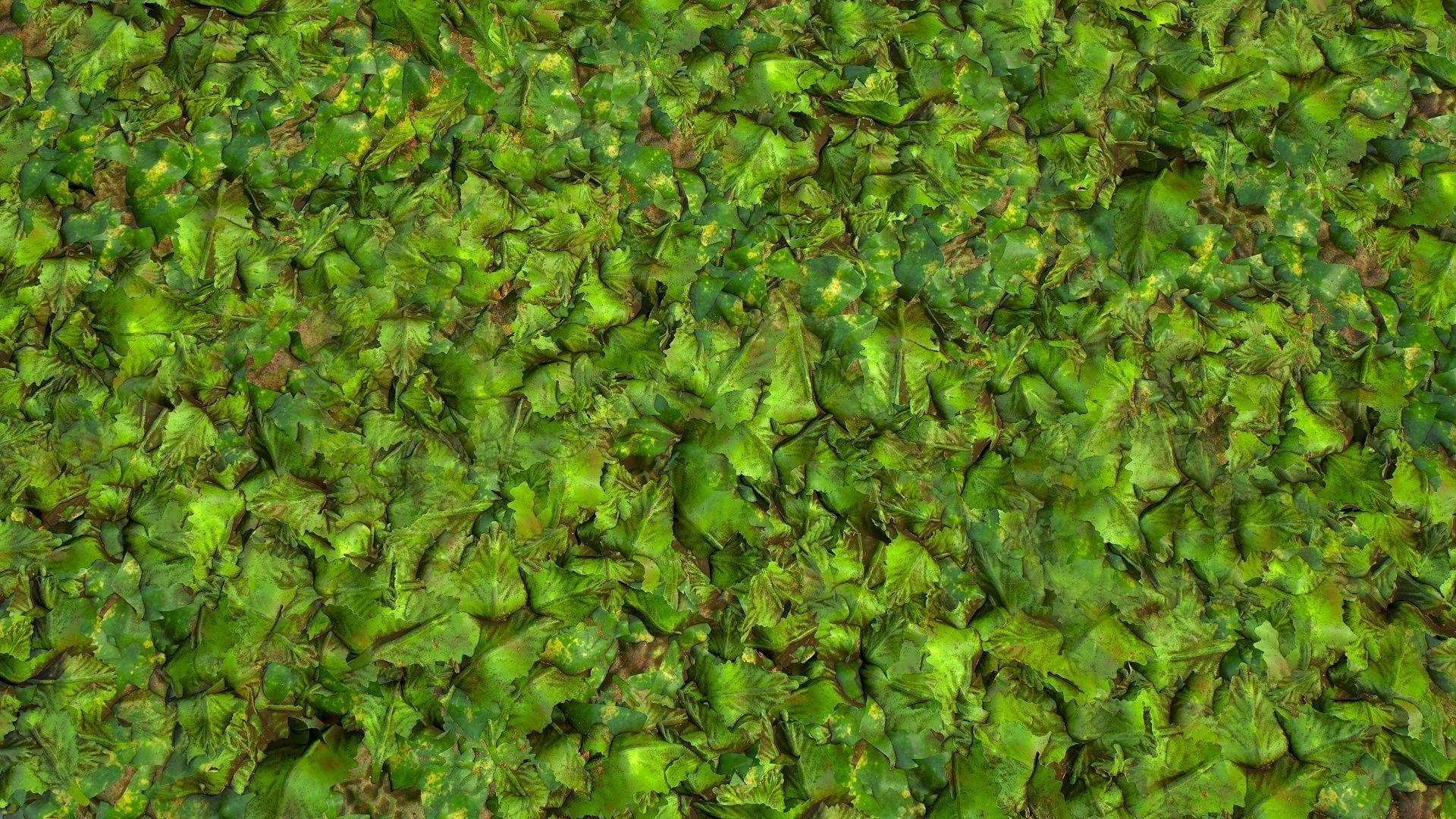PBR seamless jungle ground textures with leaves cover Texture_1