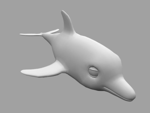 Rig Dolphin Low-poly 3D model_10