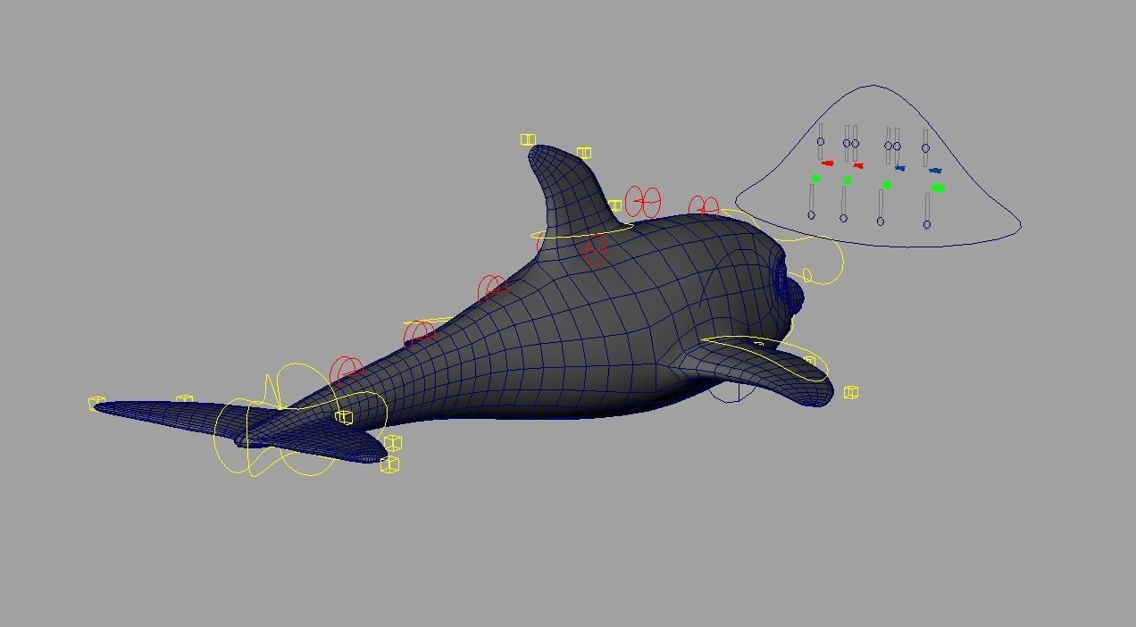 Rig Dolphin Low-poly 3D model_8