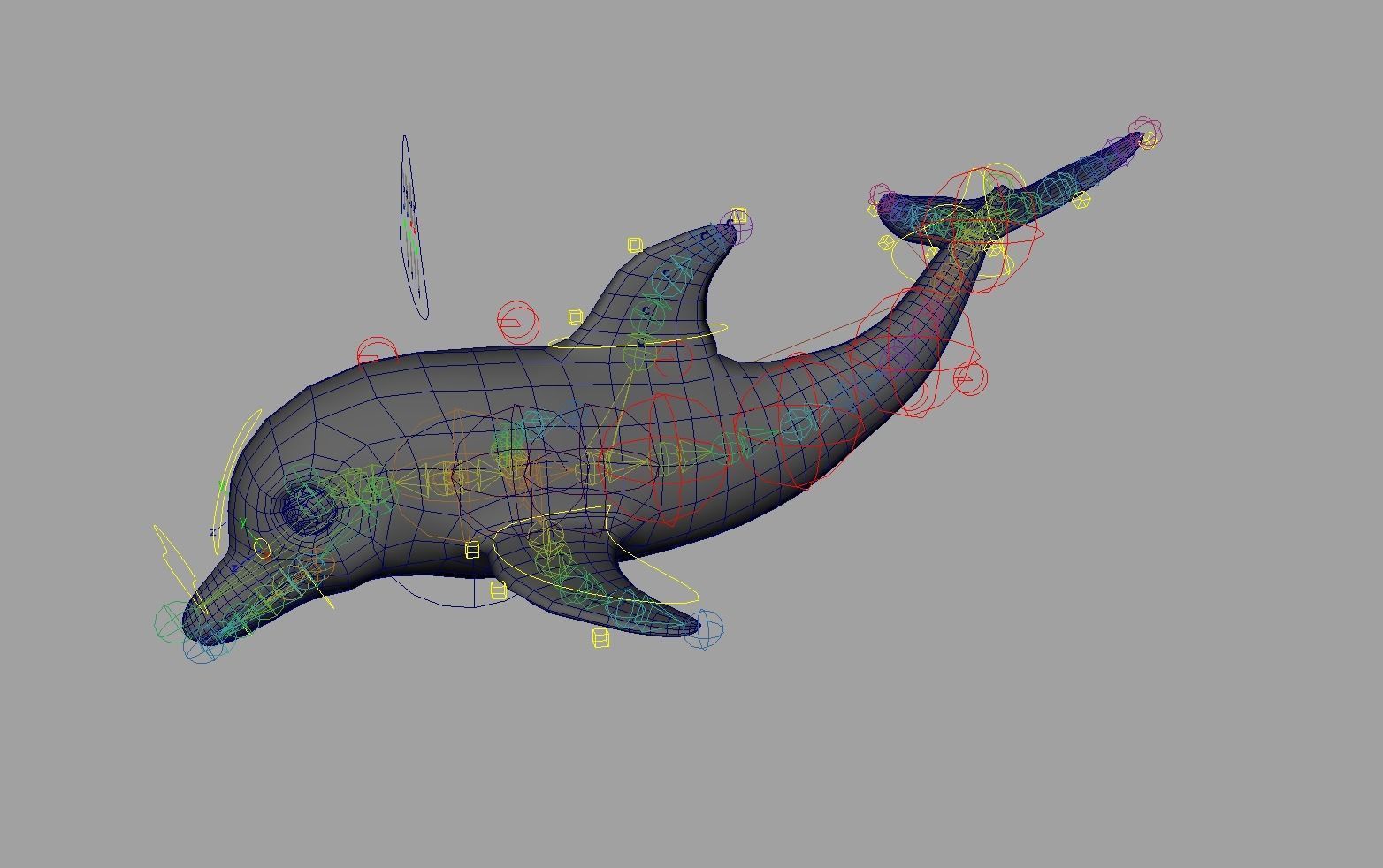 Rig Dolphin Low-poly 3D model_6