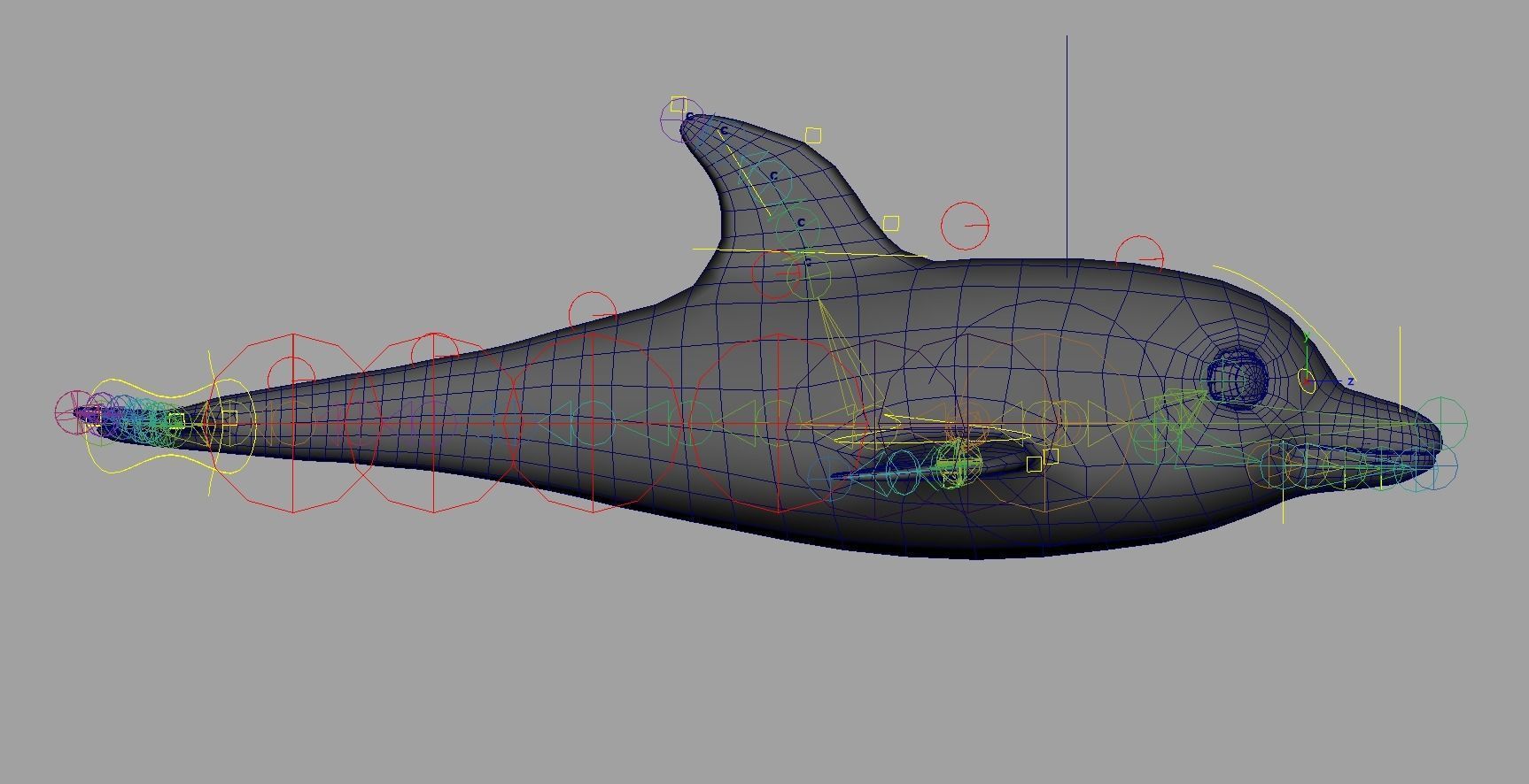 Rig Dolphin Low-poly 3D model_3