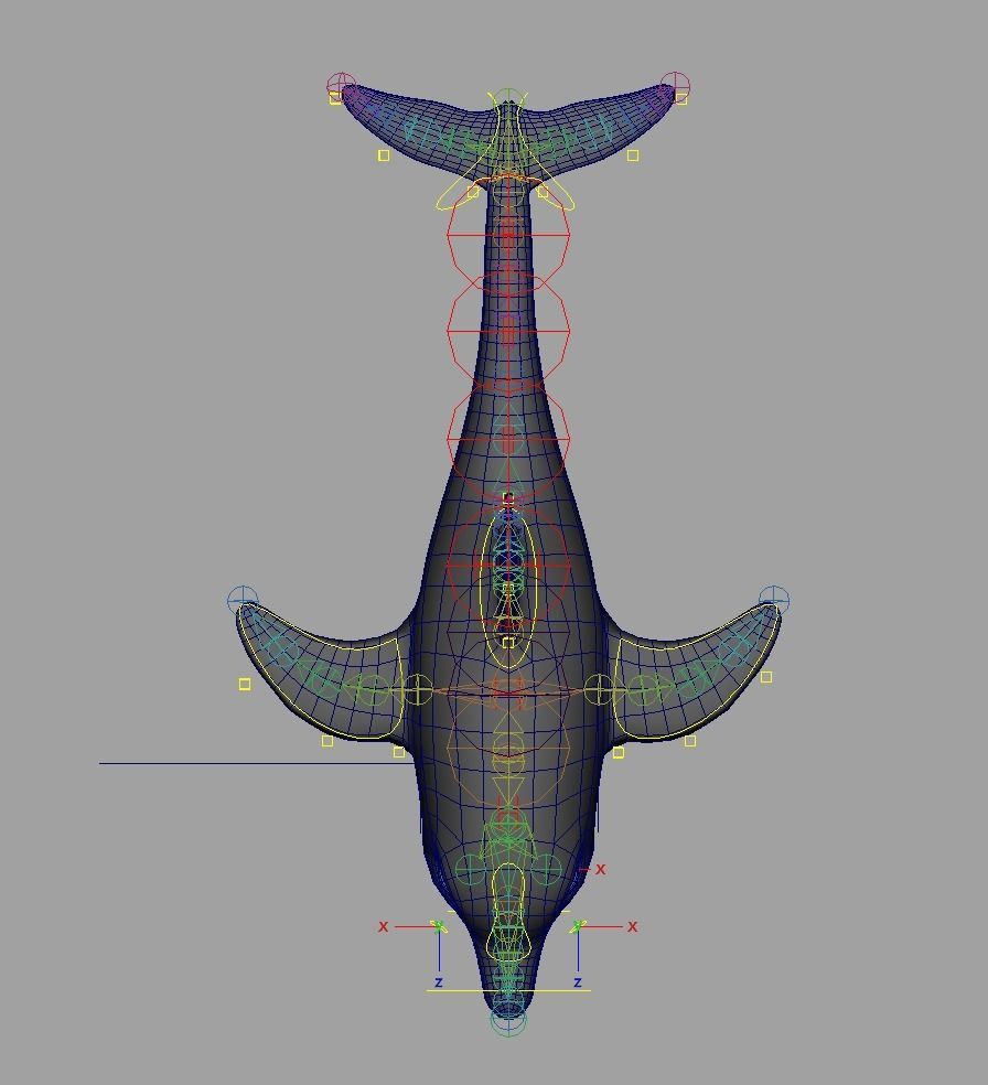 Rig Dolphin Low-poly 3D model_4