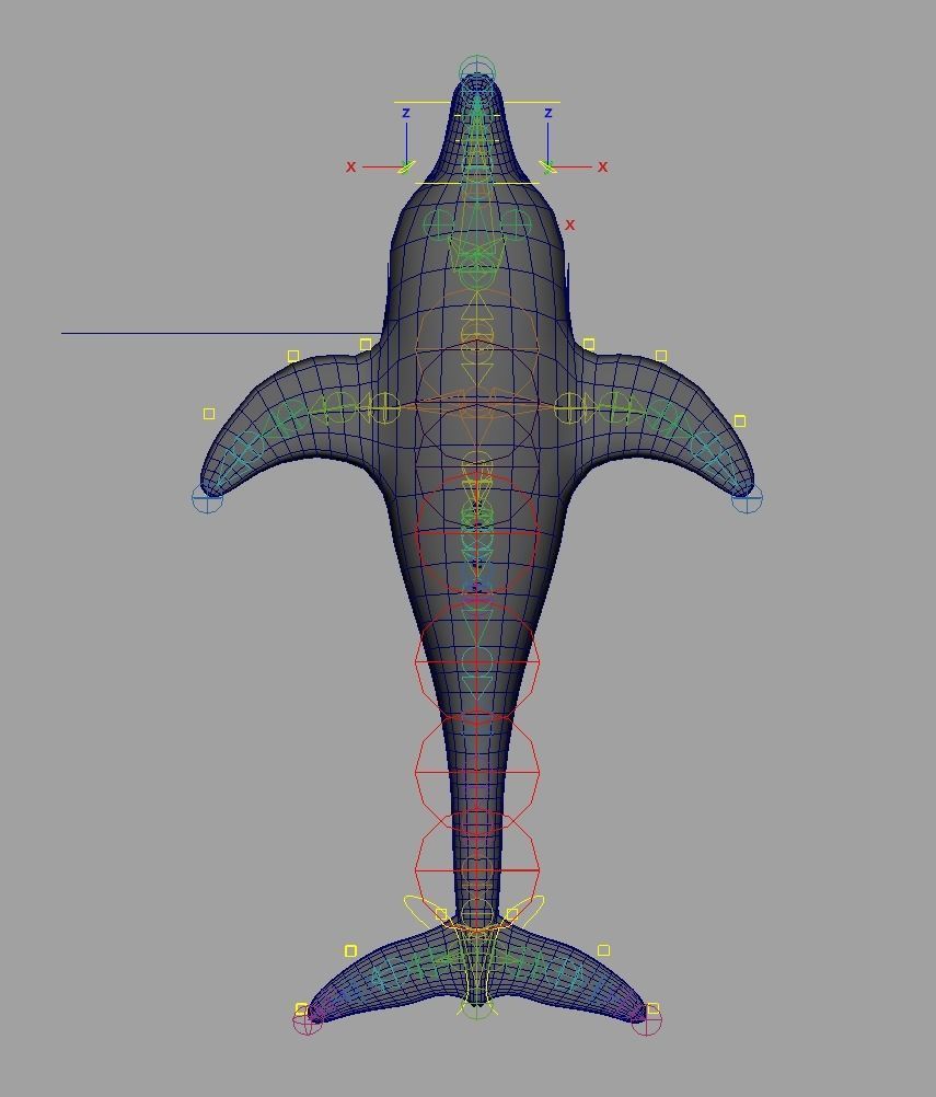 Rig Dolphin Low-poly 3D model_5