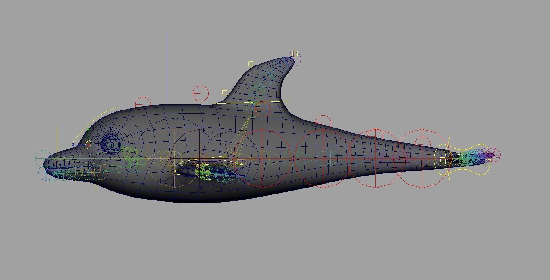 Rig Dolphin Low-poly 3D model_2