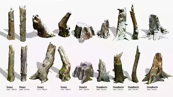 9 Photo-scanned Beech Stumps Low-poly 3D model