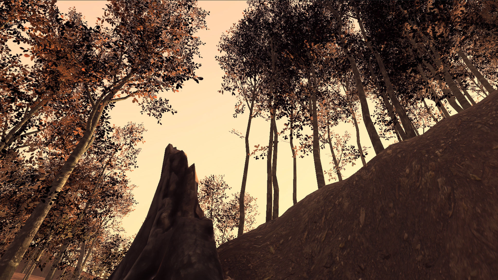 Beech Trees in 3 seasons Low-poly 3D model_12