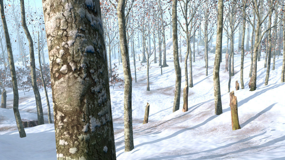 Beech Trees in 3 seasons Low-poly 3D model_18