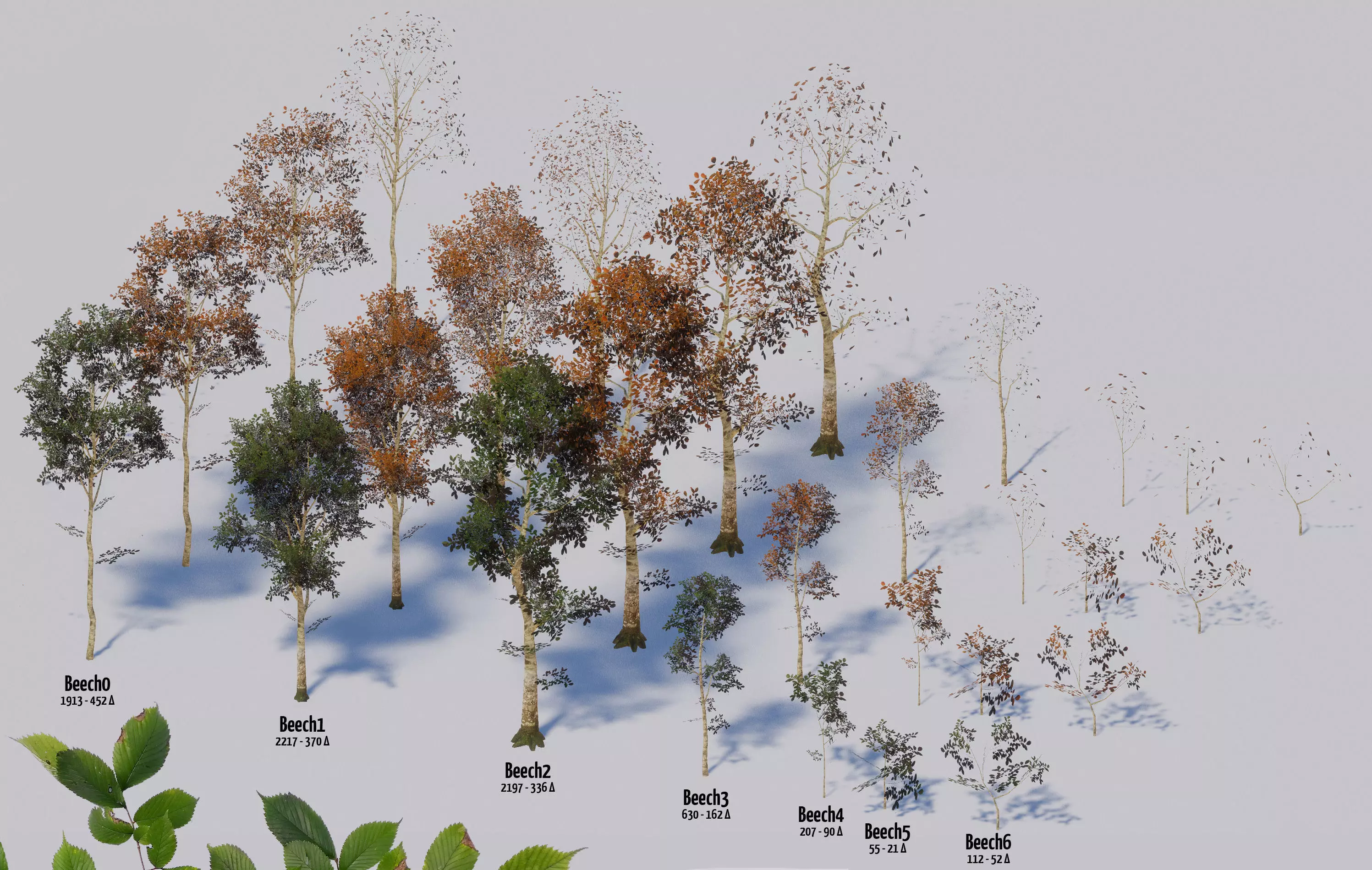 Beech Trees in 3 seasons Low-poly 3D model_0