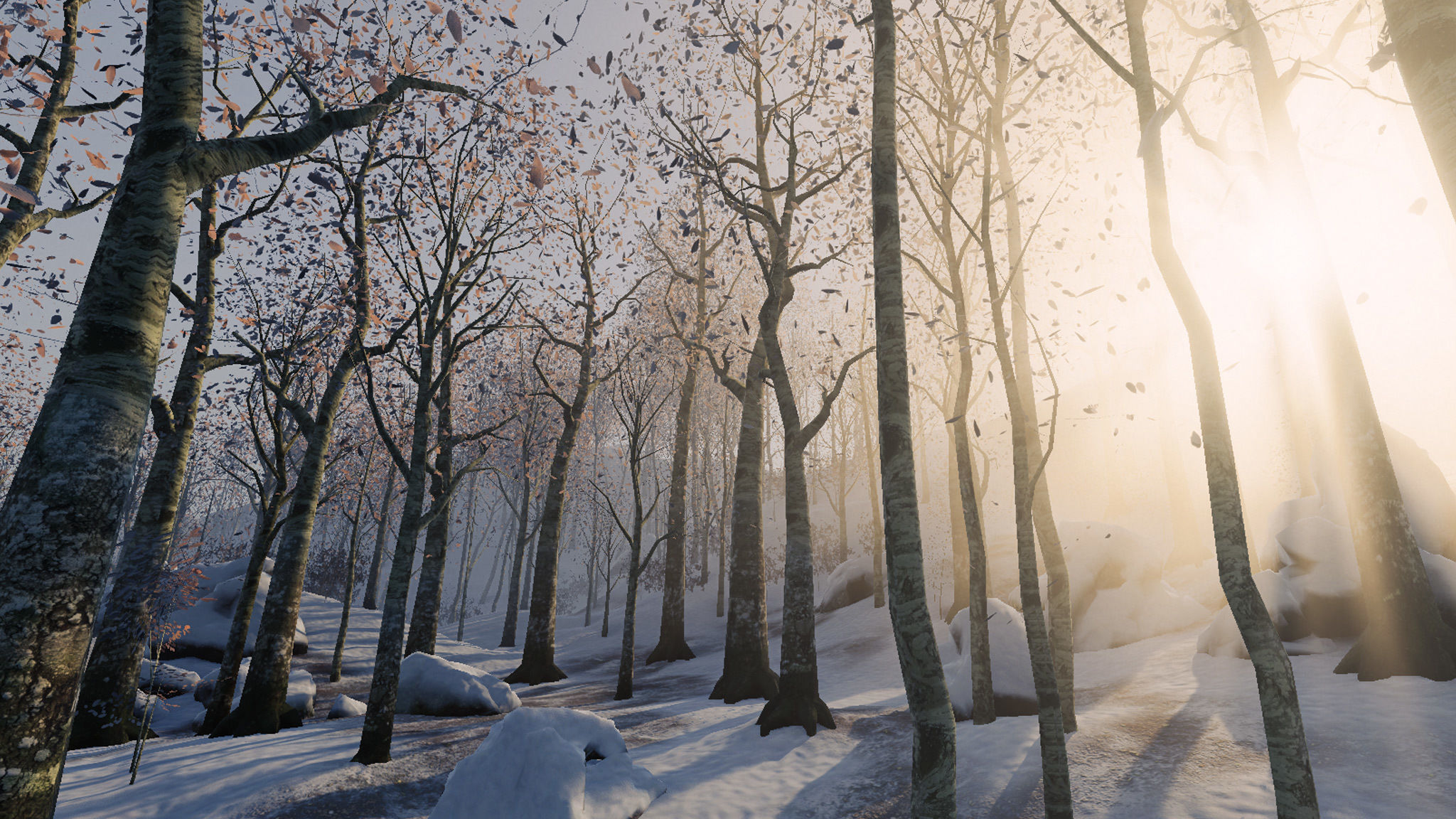 Beech Trees in 3 seasons Low-poly 3D model_5