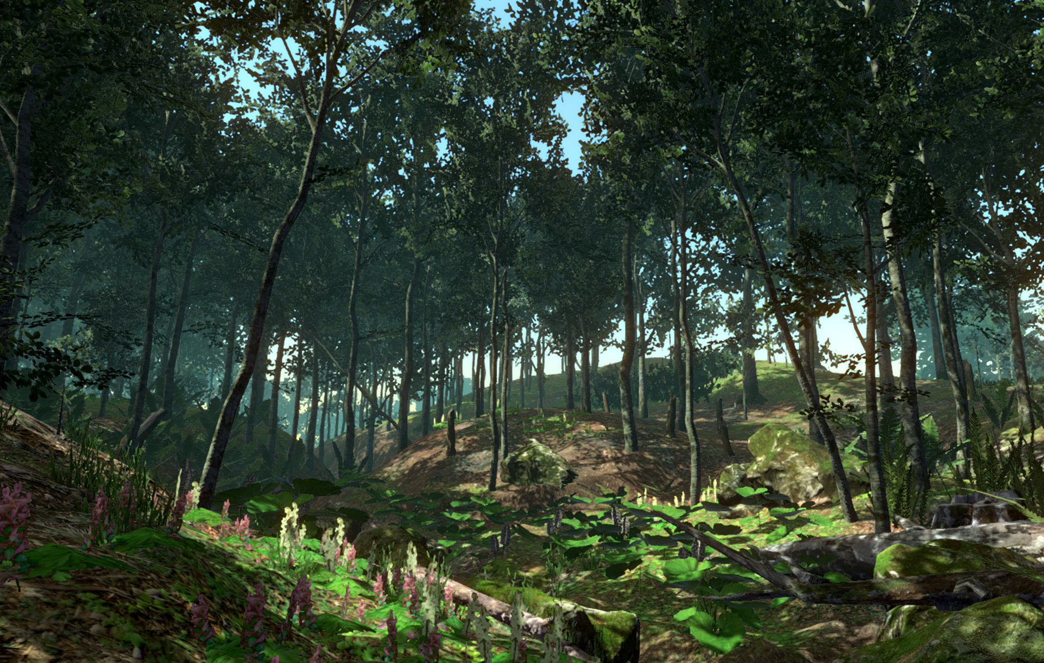 Beech Trees in 3 seasons Low-poly 3D model_14