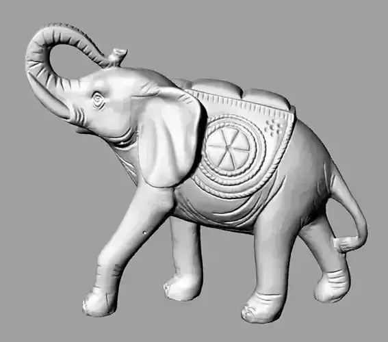 Elefante elephant