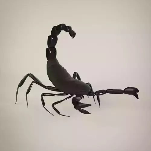 Scorpion