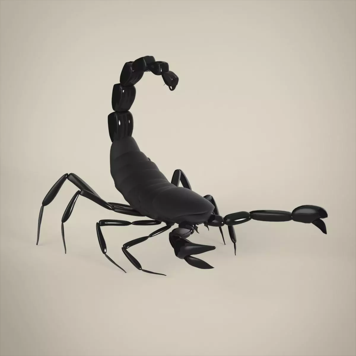 Scorpion 3D model