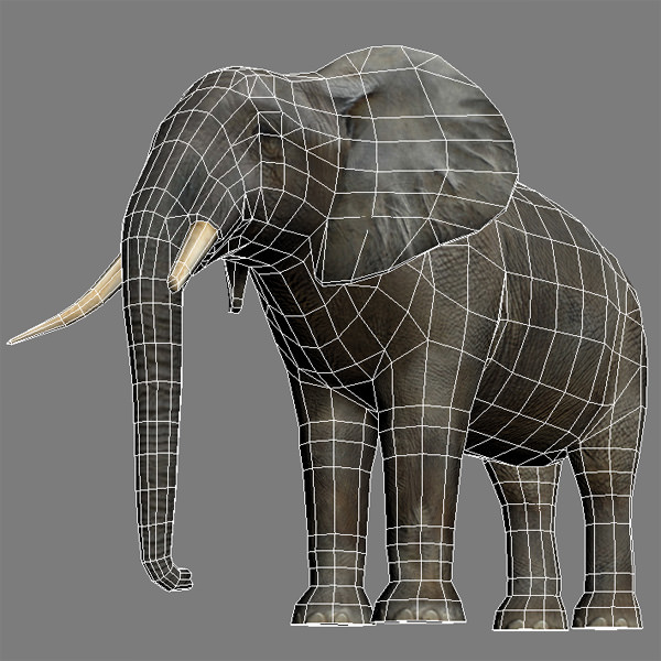 Elephant 19436 Low-poly 3D model_3