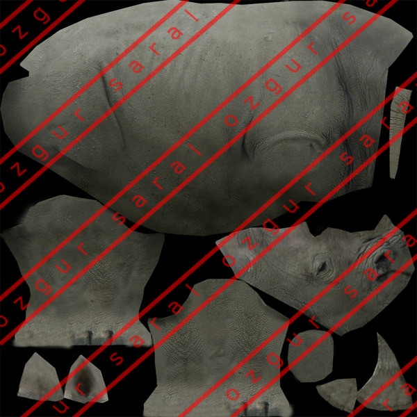 Rhino Low-poly 3D model_3