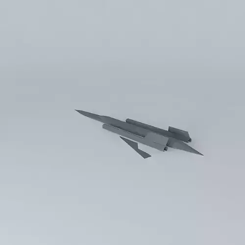Blackbird fighter jet