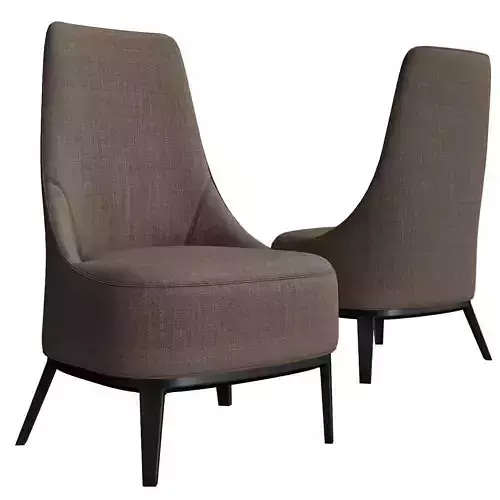 Febo armchairs antonio citterio 3d model