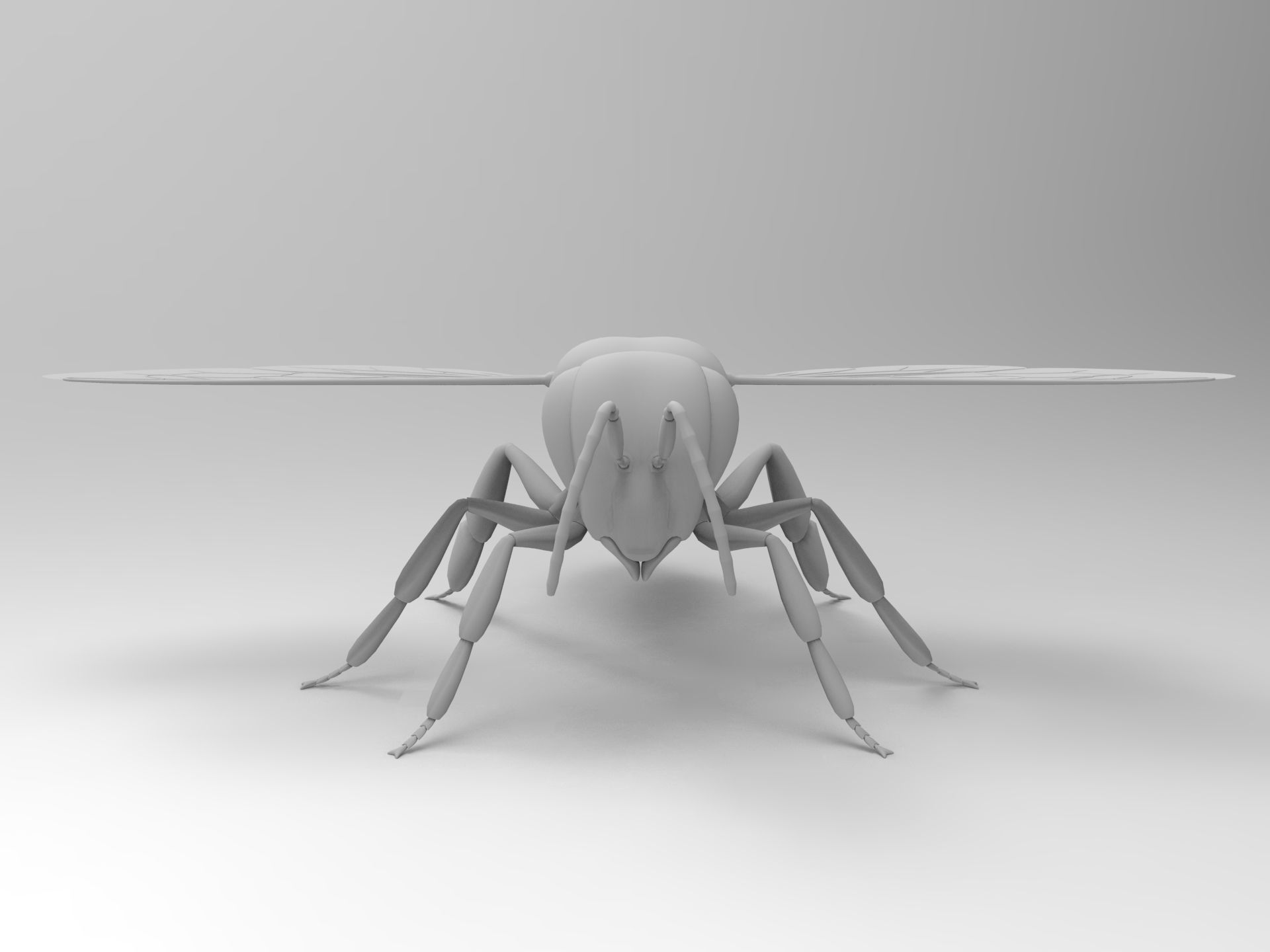 Honey Bee 3D model_1