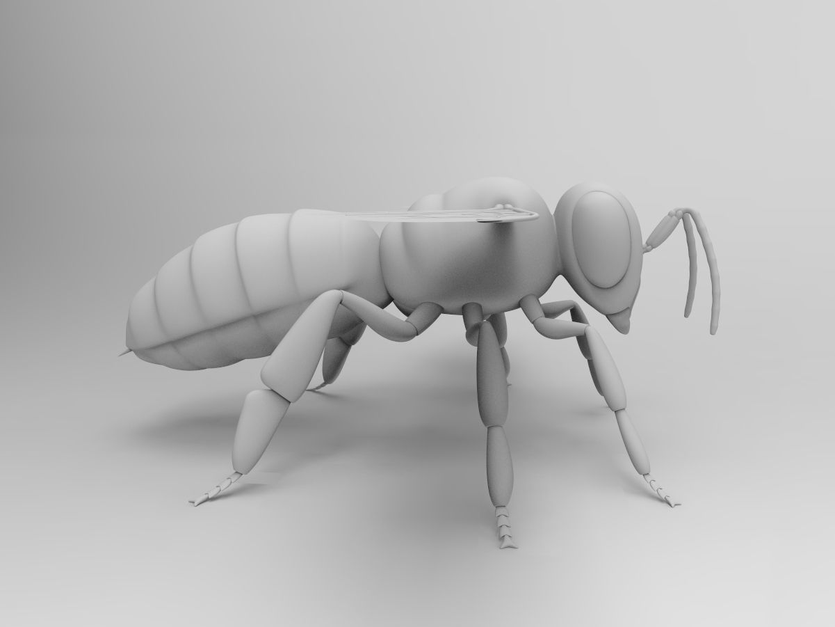 Honey Bee 3D model_4