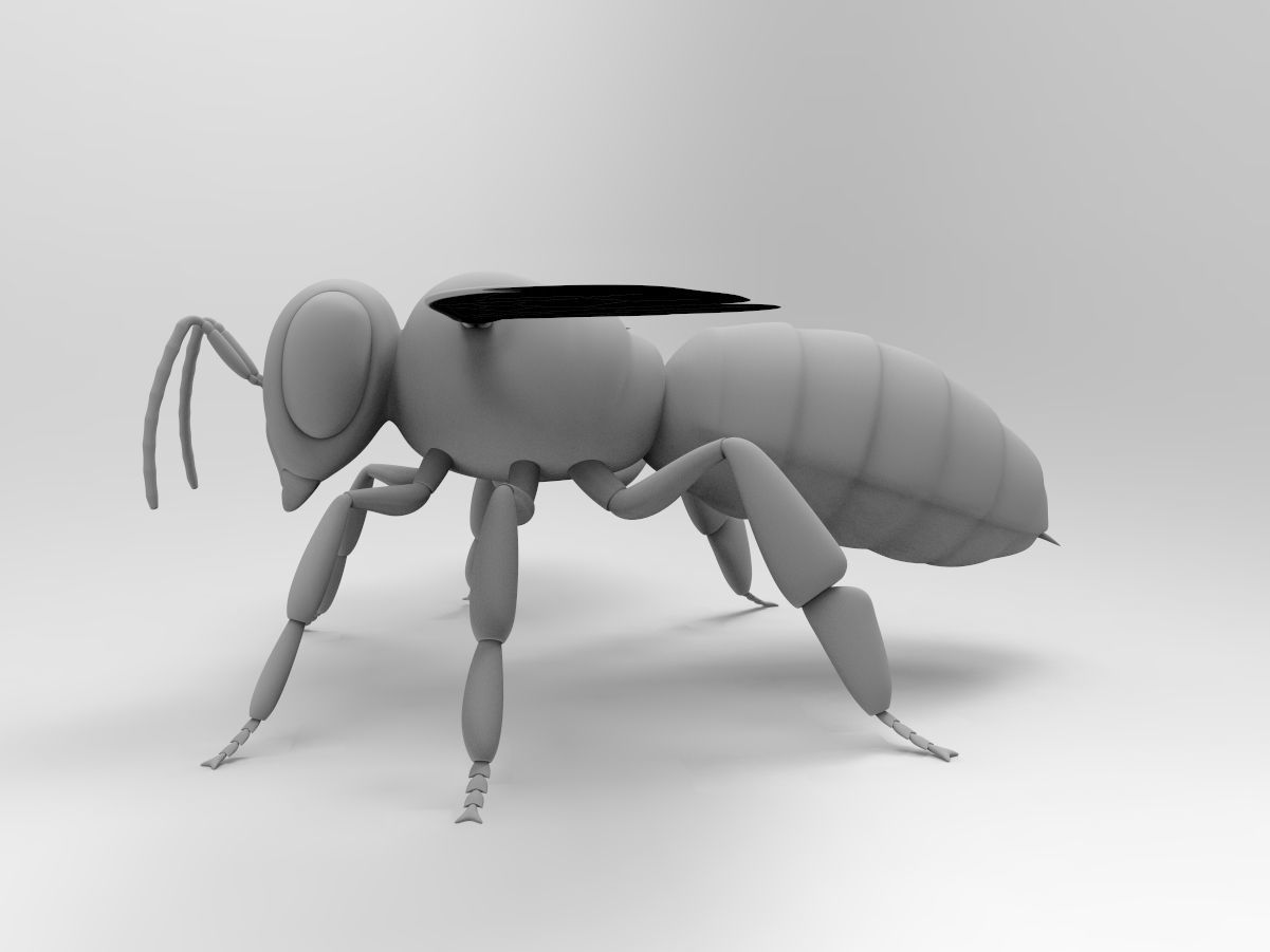 Honey Bee 3D model_3
