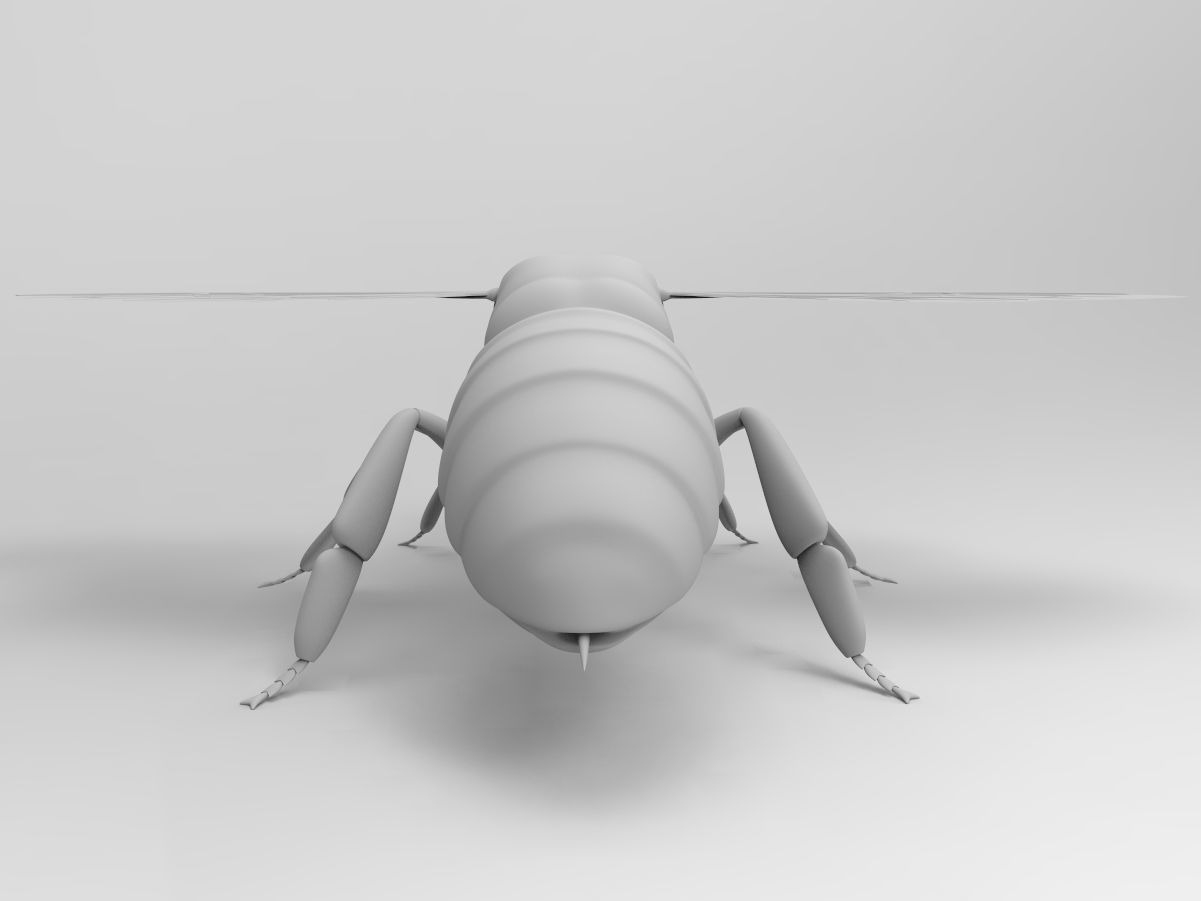 Honey Bee 3D model_2
