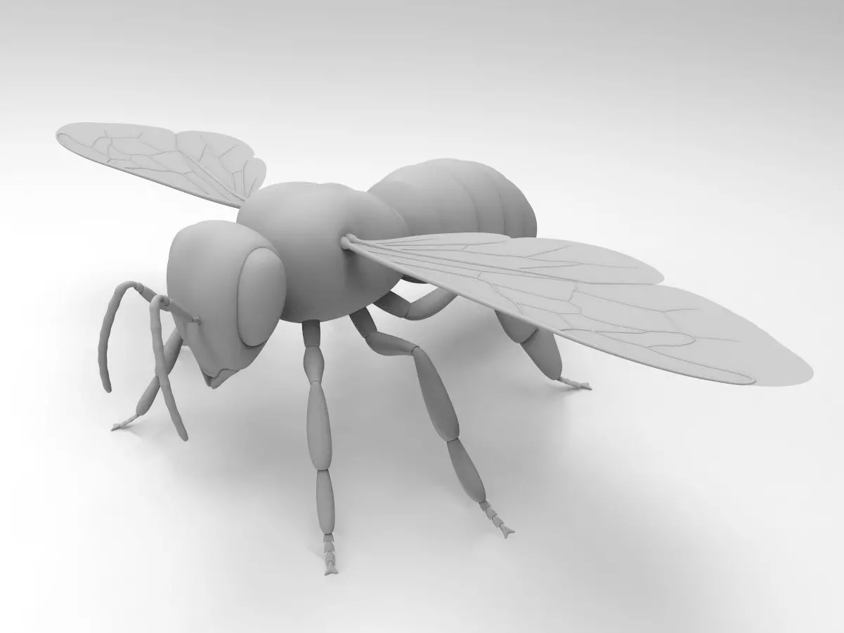 Honey Bee 3D model_0