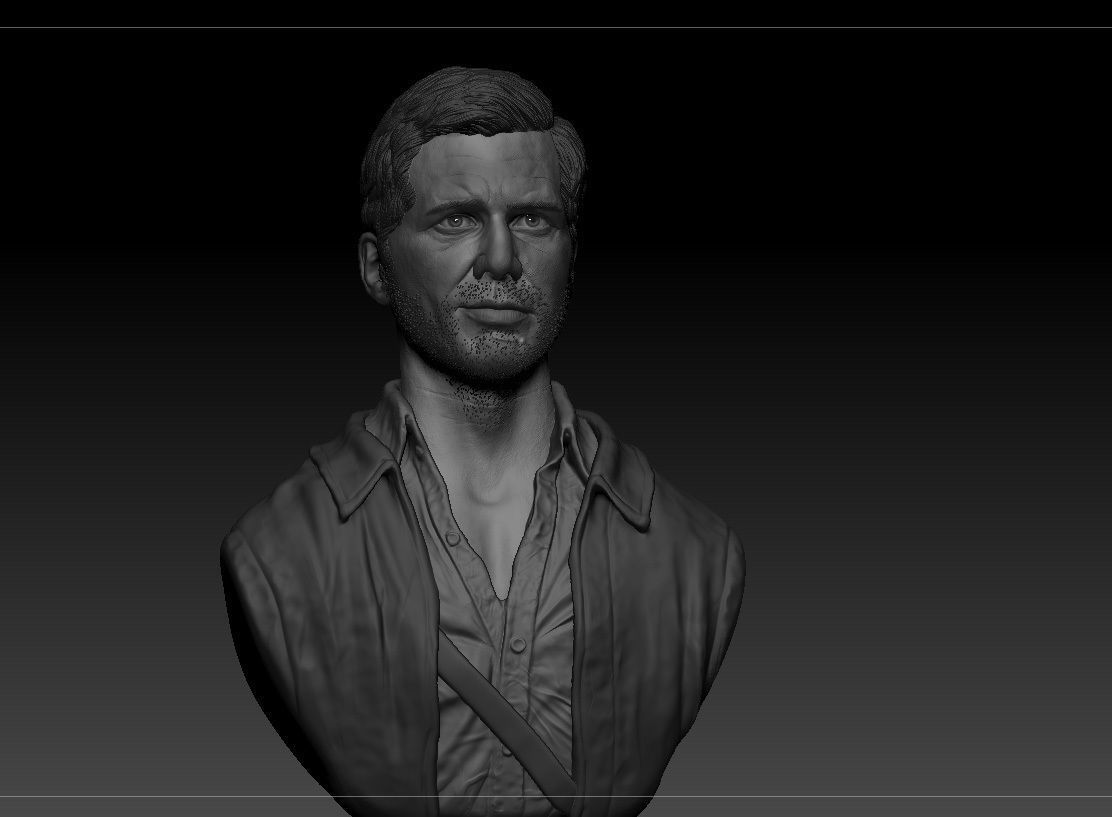 Harrison Ford Indiana Jones 3D print model_9