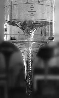 Walter Schauberger Water Vortex Funnel 3D print model_0