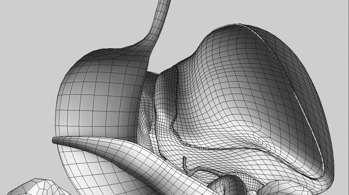 Digestive system Low-poly 3D model_13